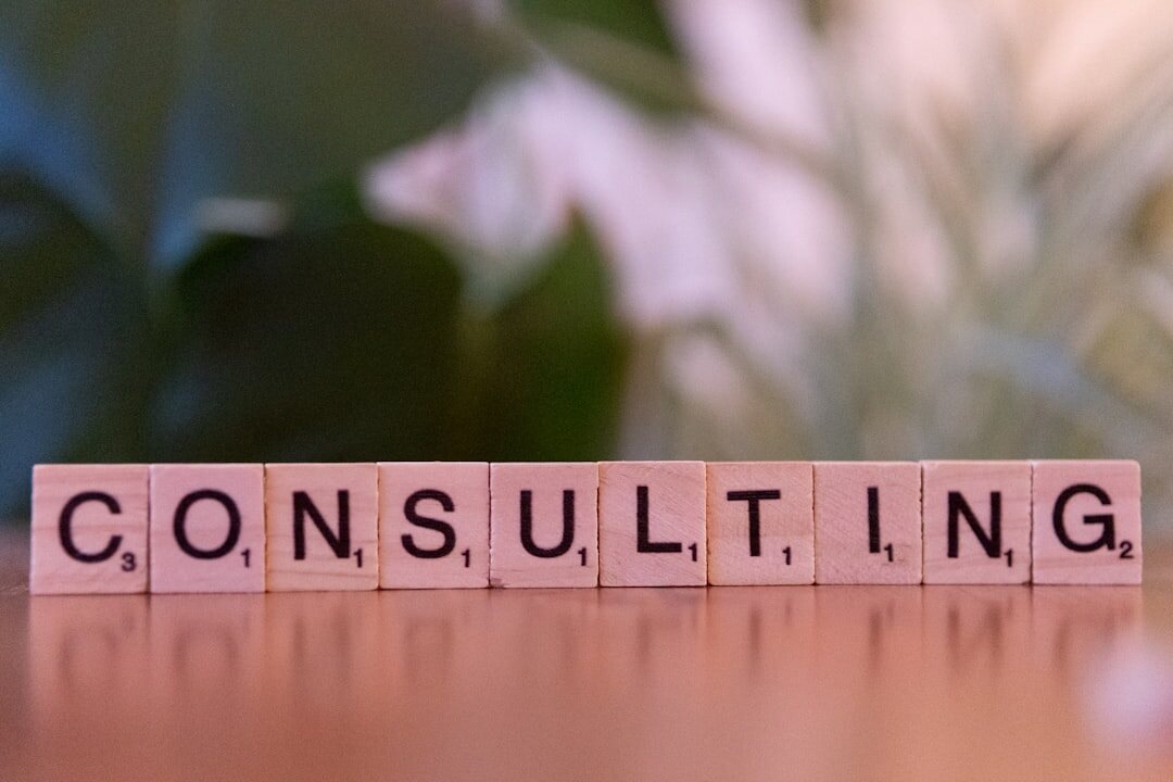 Business consultant presenting a strategy to clients in a meeting room